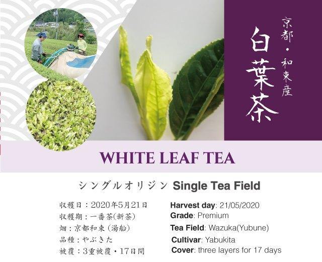 Organic Japanese Tea