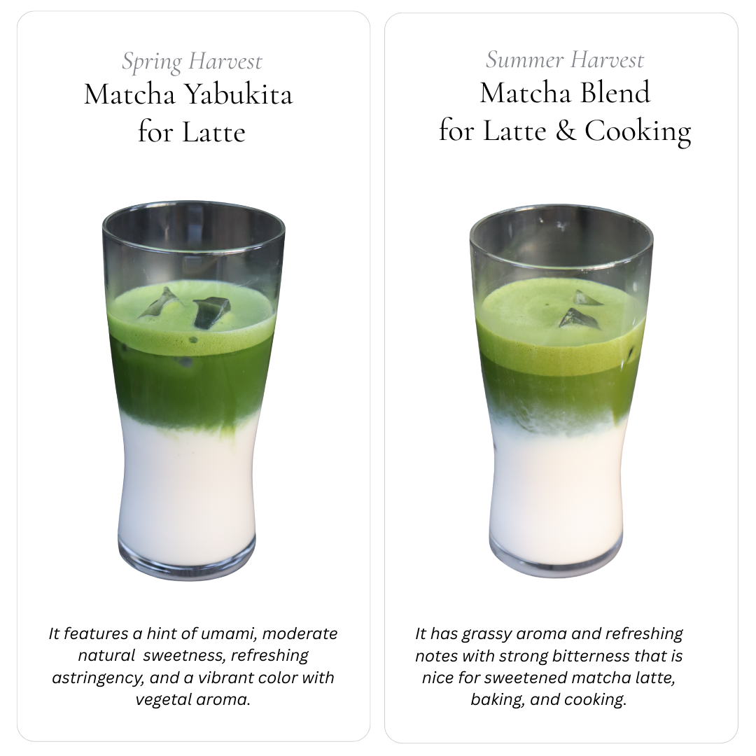 Summer Harvest Matcha Latte